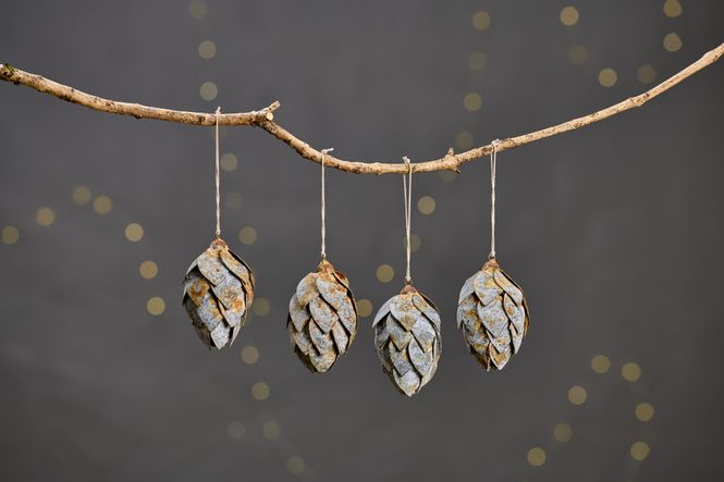 Hovedbilde Adoni kongle | Nkuku