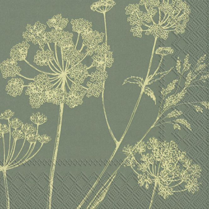 Hovedbilde Hanife Green