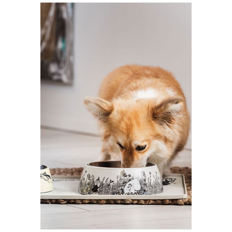 Matskål  - Grå | Moomin